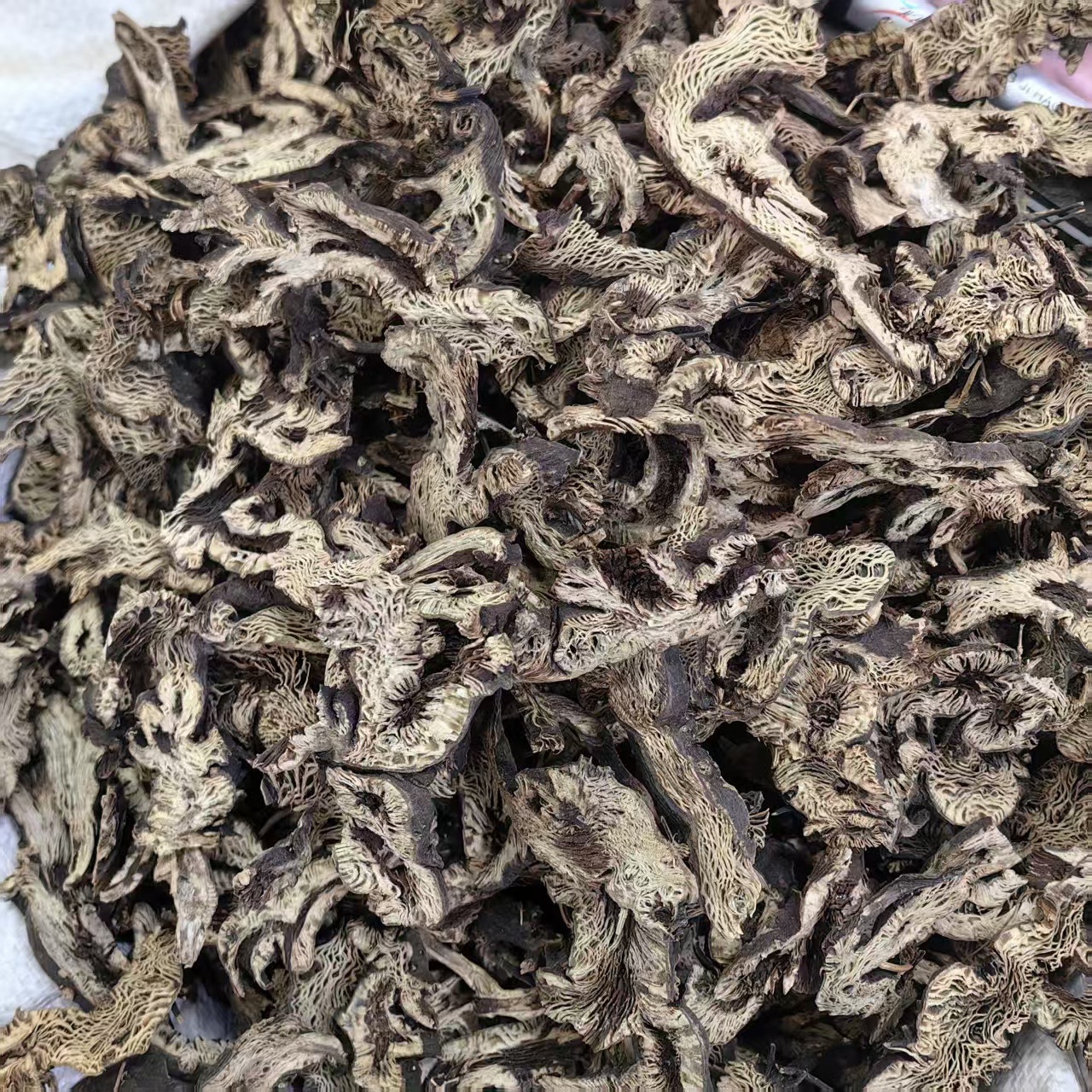 Northeast Cimicifuga Rhizome Slices Sheng Ma 500g Sulfur-Free Dried Herb for Decoction and Powder quality and texture