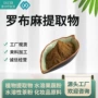 萃取水溶浸膏罗布麻提取物
