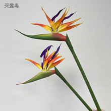 ����ʽ�Ӱ�Ҿ�ܛ�z�����B ��Ʒ�|���滨��Y�zӰ�Q���m ���z�ٻ�