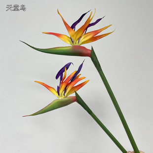 ����ʽ�Ӱ�Ҿ�ܛ�z�����B ��Ʒ�|���滨��Y�zӰ�Q���m ���z�ٻ�