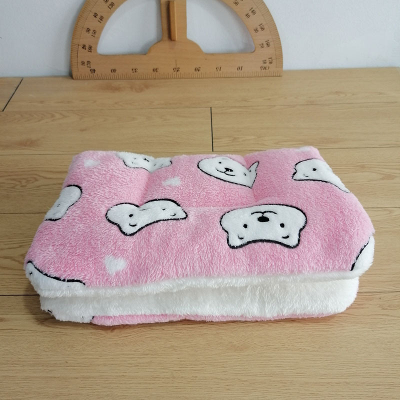 팬곰