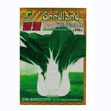 喜良蔬菜种子香港金大地黑叶葵扇白菜（602）基地田园阳台盆栽