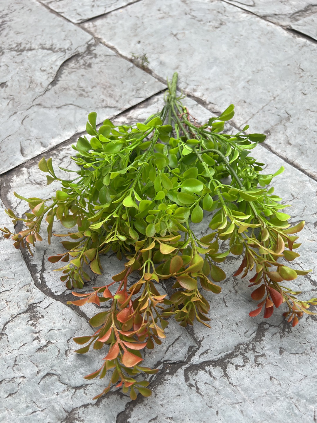 微信图片_20240516194641