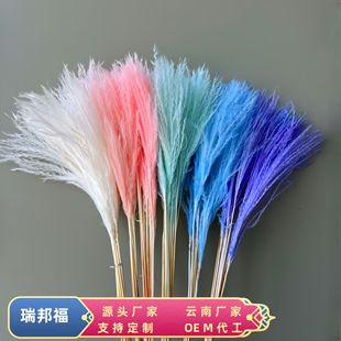 �ɻ��W�t����ͲܛëС���m�ɻ����˹��������Ͽ羳���R�d���u