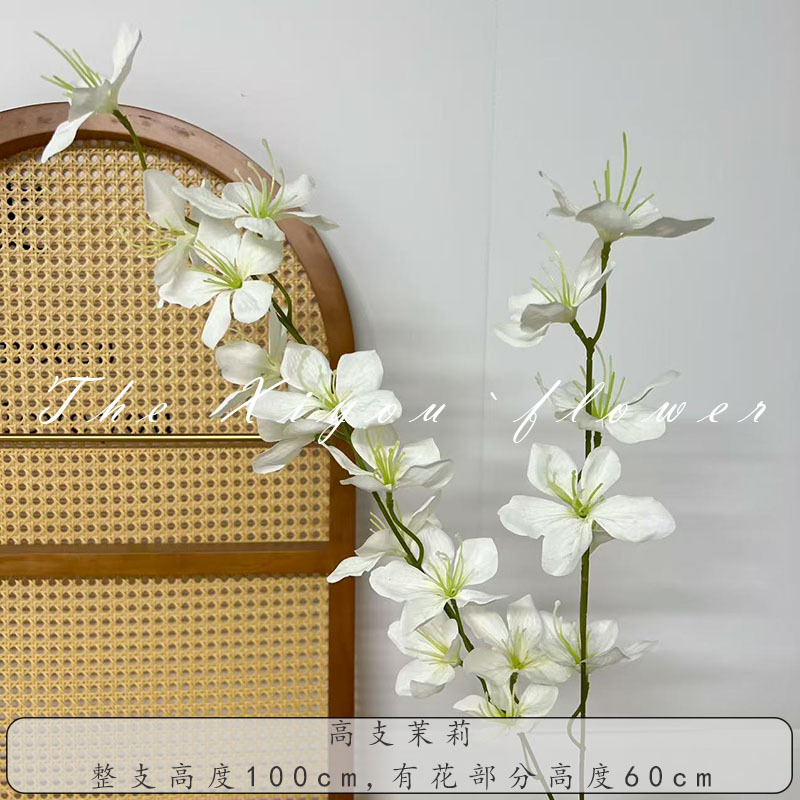 하이카운트 자스민