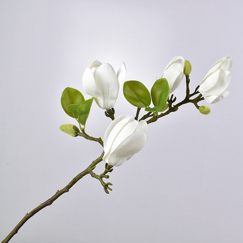 녹색과 흰색 새싹 4개(전체 길이 68cm)