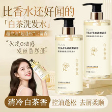 氨基酸白茶洗发水一件起批沐浴露套装持久留香控油除螨洗发膏正品