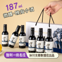 智利一级名庄原瓶进口小支红酒迷你葡萄酒米其林餐厅精选干红