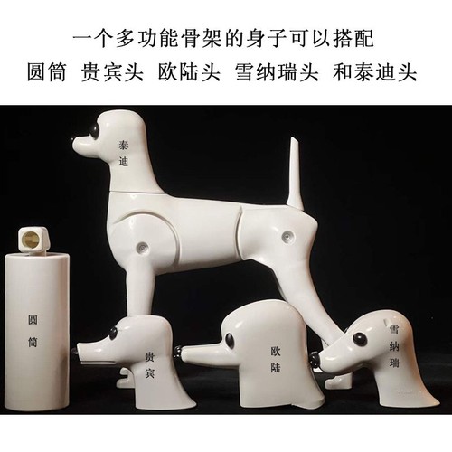 Pet grooming practice faux fur Teddy Poodle skeleton model fake dog hair pieces head hair fake back hair full body hair
