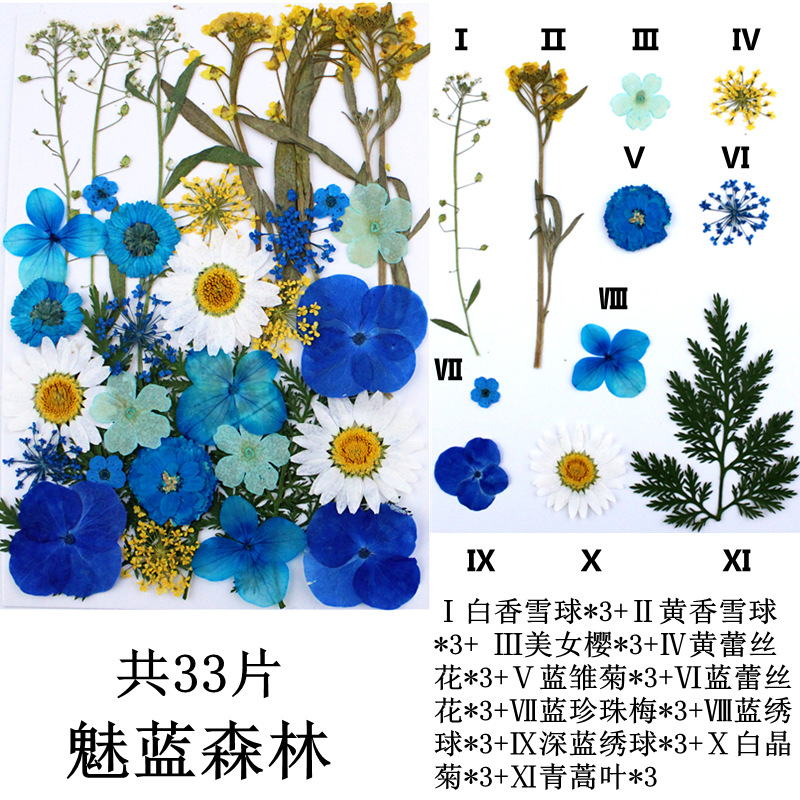 Paquete de material de estampado de flores secas Paquete de combinación de flores presionadas Flor real Hoja de espécimen pegatinas