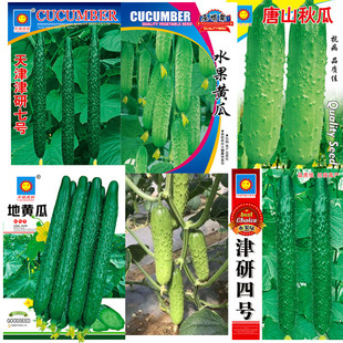 �S�ϷN���߲˷N�Ӳ������l�˷N�ؔ�һ��Դ�^�S����Ů�S�����l�ˈ@