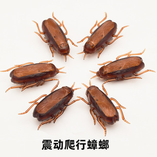 Creative funny toy vibration crawling cockroach electric small strong electronic cockroach mouse spider stall toys wholesale