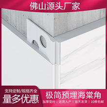 �ɴu���z��ꖽ��X�Ͻ��տ��D���A��ā�ӽ��٘Oխ���ĽǏS�����l