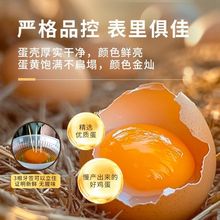 ����S���]������ɢ�B���r�u��30/40ö�����o�����������u��