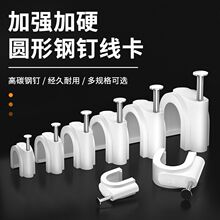 �ᔾ����A��늾��̶������ӾW���۠�ᔾ��늾����������� 100��