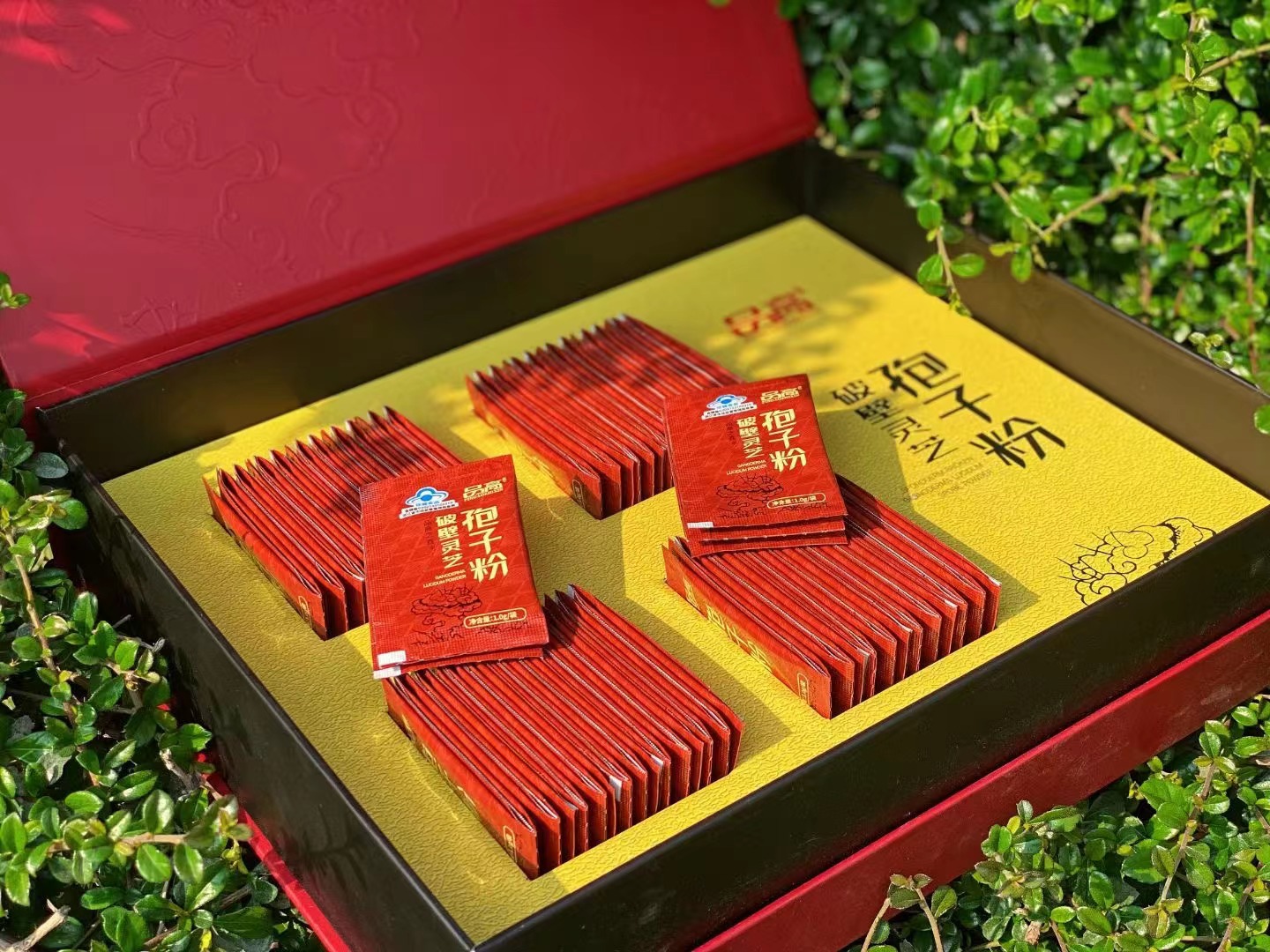 21bcc493cd3e906dd7a2c290d96f74