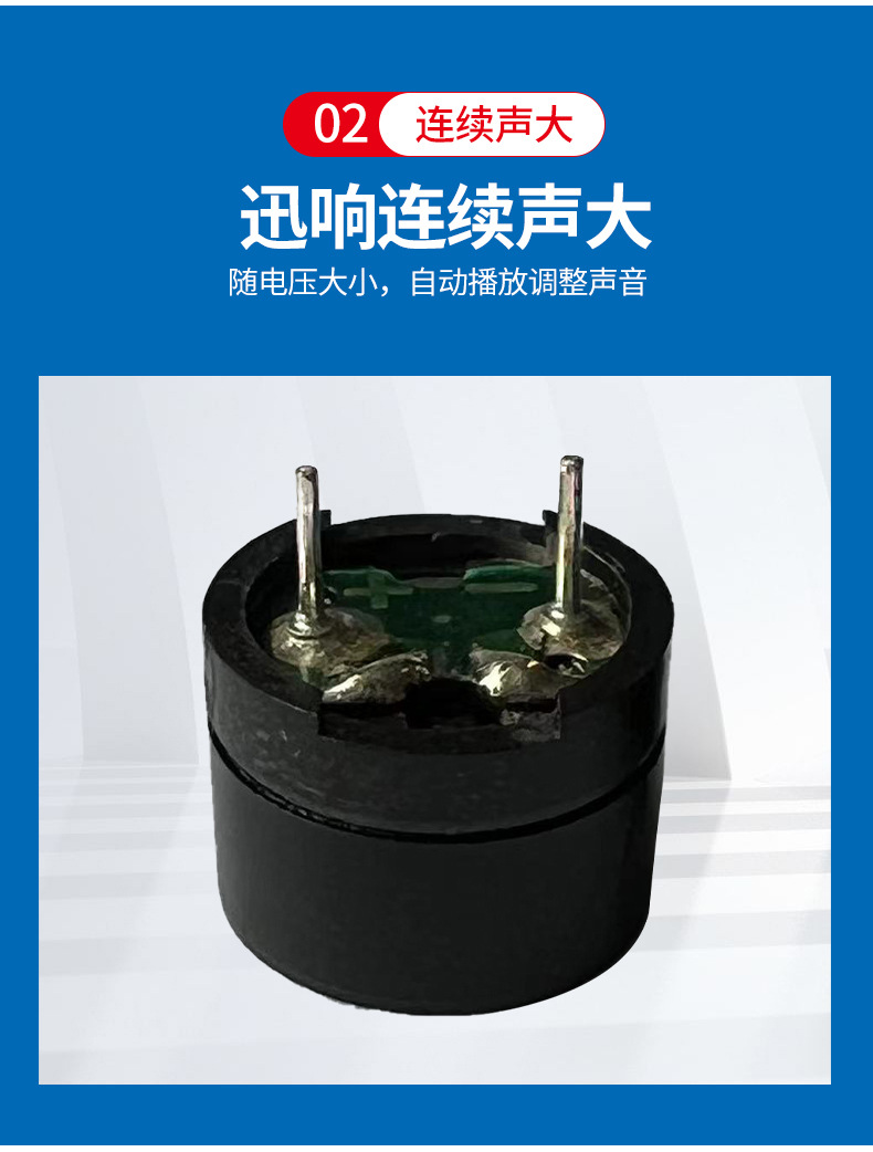 12085蜂鸣器_04.jpg