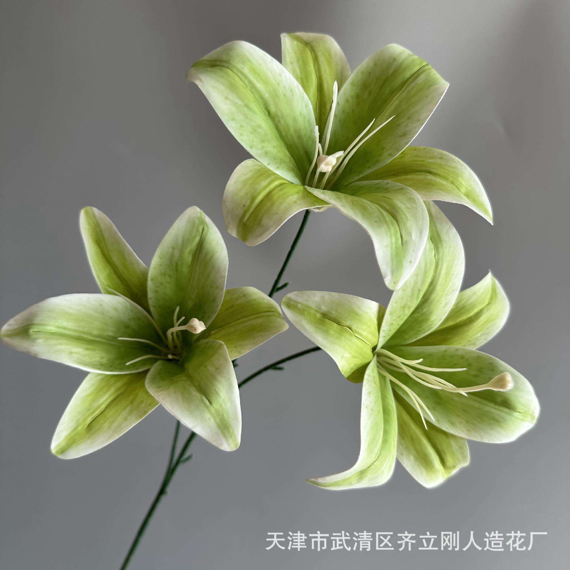 3D 사유리