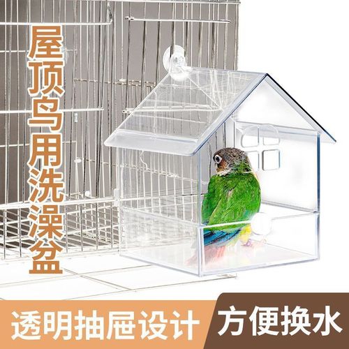 Tiger Skin Peony, Parrot, Bird Room, Bath Tub, Cool Bath, Bird Bath