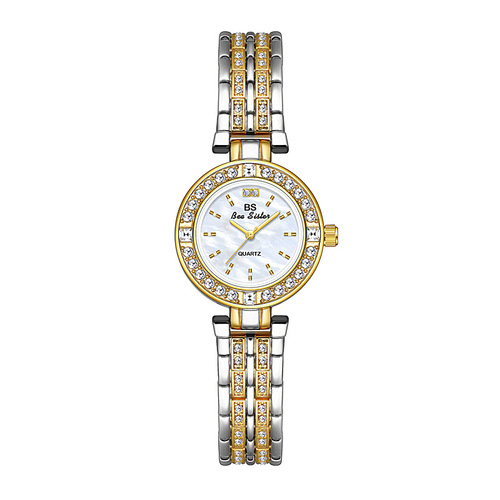 BS new hot-selling watch manufacturer direct sales foreign trade Southeast Asia light luxury niche second-hand watch female representative issued FA1752