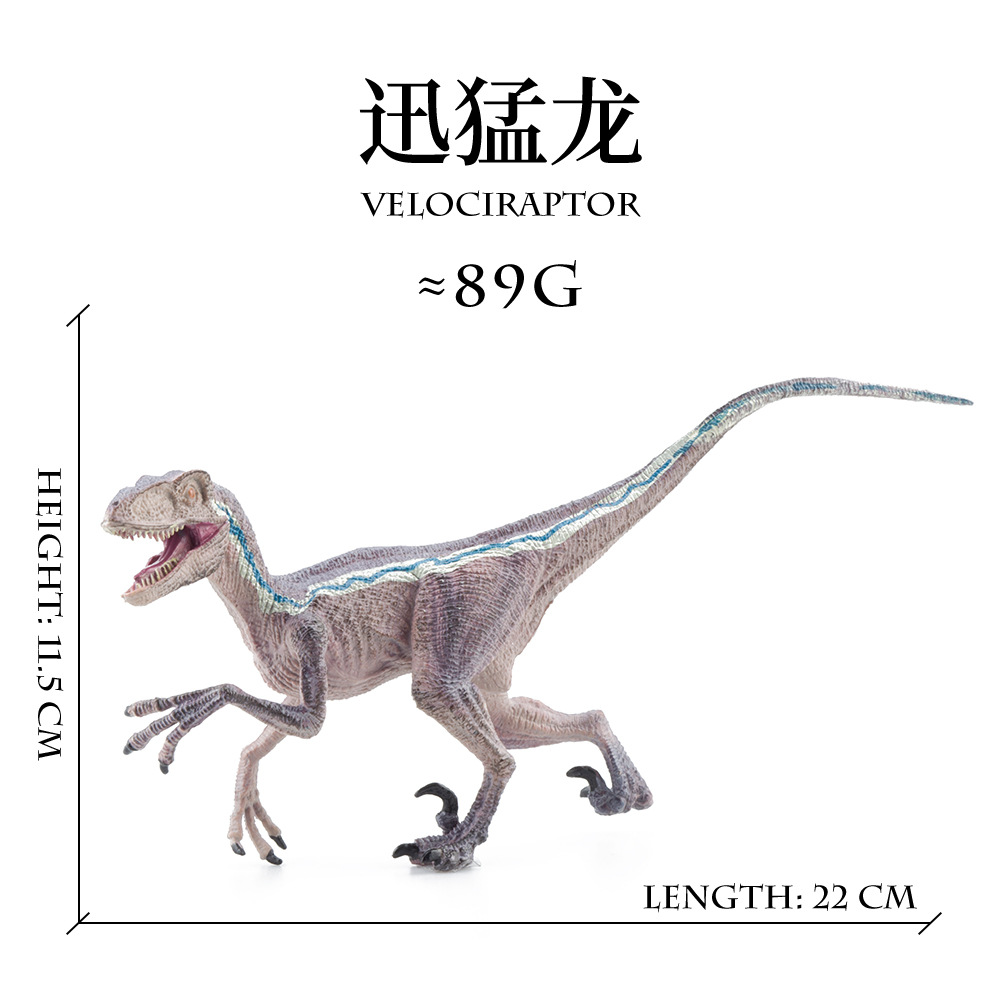 [this model cannot stand] medium velociraptor [≈89g]