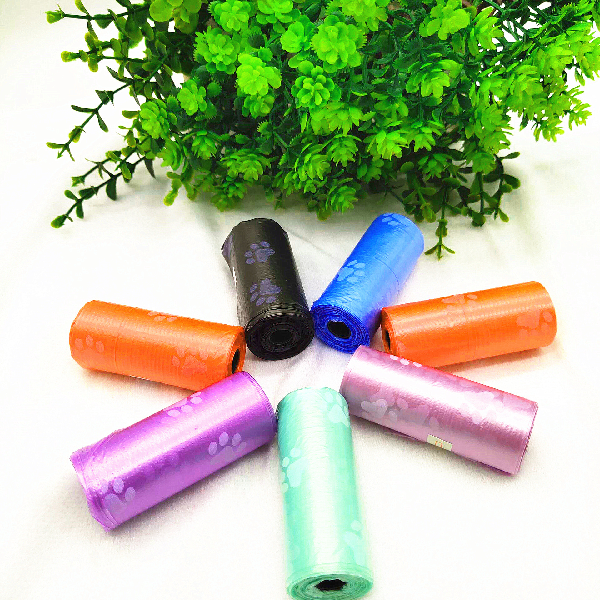 16128040007_39259912