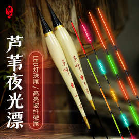 高端芦苇夜光漂咬钩变色日夜两用硬尾电子浮漂鲫鲤综合黑坑野钓鳔