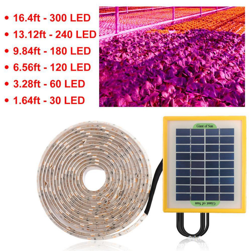 メーカー直売室内植物成長灯太陽光多肉補光灯LED全スペクトルは太陽光野菜に似せています。|undefined