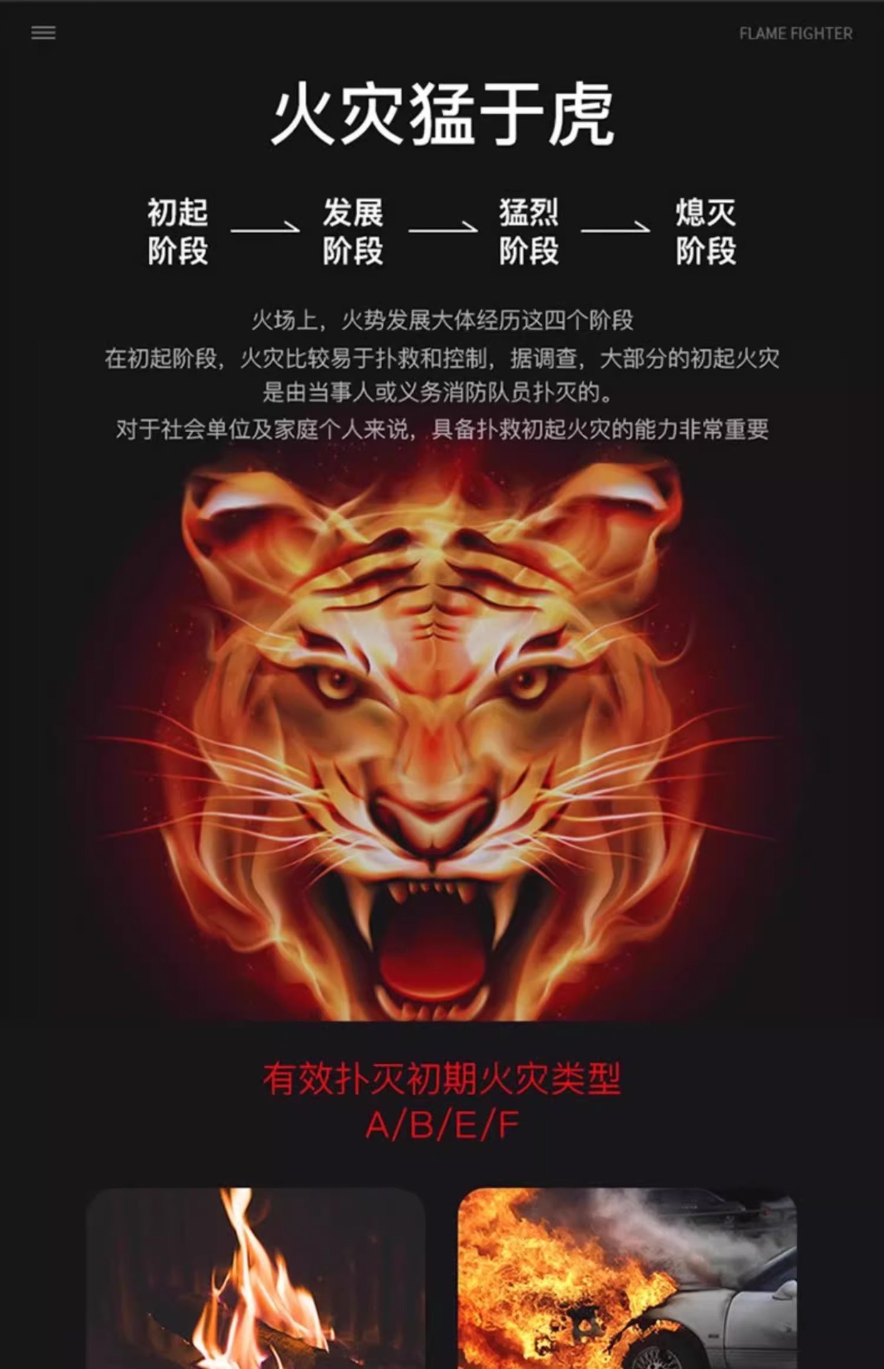 Flame Warrior Car Fire Extinguisher Car Fire Annual Inspection Car Home Mini Portable Water-Based Fire Extinguisher
