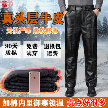 T8Y头层牛皮加厚防水防风耐磨皮裤男外卖骑行干活穿秋冬中老年加