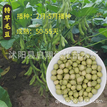 �rʳ����ë���N������߮a�ඹ�S���˶��ض��N�Ѵ��ļ��߲˷N����