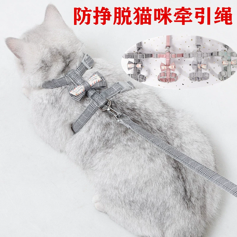 Кошка удобная буксируемая веревка, выгуливаемая кошачья веревка может быть отрегулирована, чтобы предотвратить вырвение милого банта