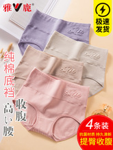 �ڿ�Ůʿ�¿��и���2025�¿�Ů��Ů���������ǿ�̿�