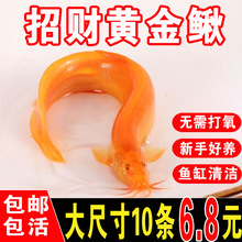 �S�����q��ˮ������~���坍�����~��ؔ�~�¾��ֻ��~�^�pС���~��