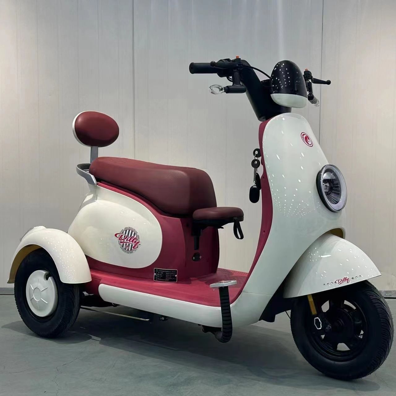 Flagship model (delivered as a complete vehicle) - city version naked vehicle (excluding battery and charger) - color remarks