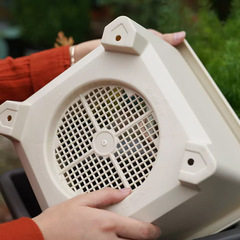 愛麗思圓形球根植物多肉種菜陽台花卉盆栽植物園藝塑料花盆愛麗絲