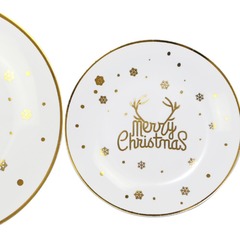 Source Factory Snowflake Christmas Series New Year Series Party Plastic Plates with Logo Printing