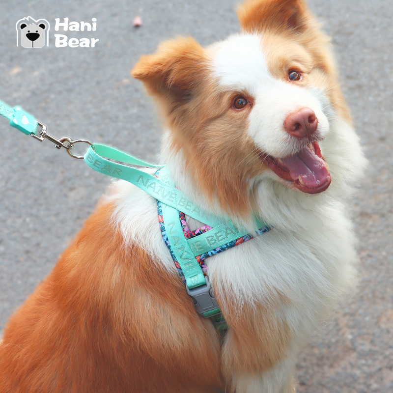 狗狗胸背带中大型犬柯基柴犬边牧宠物牵引绳伸缩鞍式牵引绳|undefined