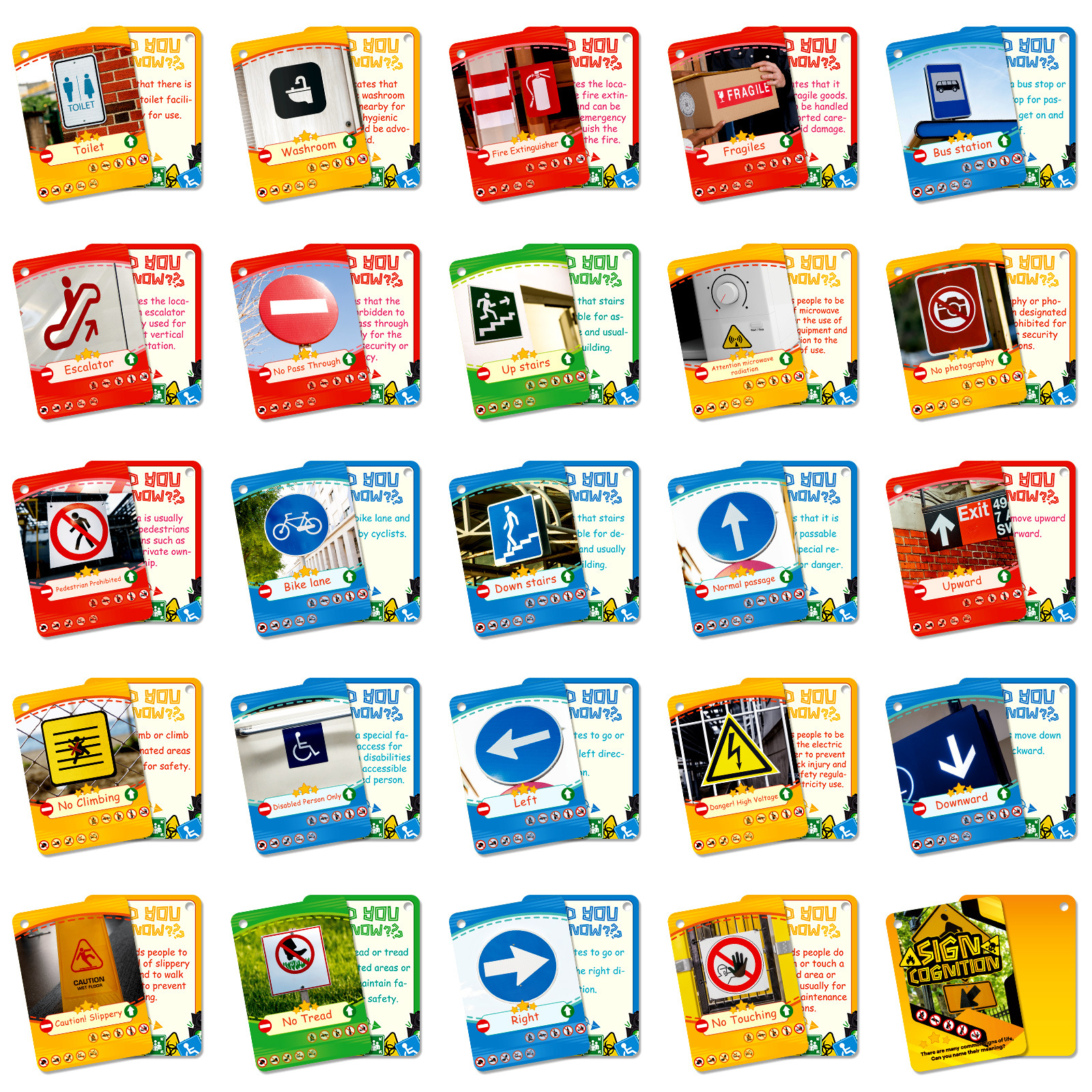 50 Pieces Of Cross-border New Realistic Cognitive Cards For Children's Early Education And Parent-child Interactive_voghion.com