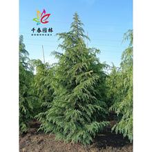 ѩɘɘСͥԺ@ͺļGL}Qѩɘ