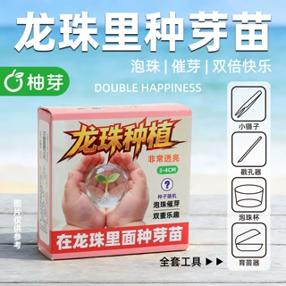 创意龙珠种植物盲盒小学生益智植物生长观察绿植儿童种植玩具盲盒