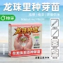 儿童龙珠观察种植绿植