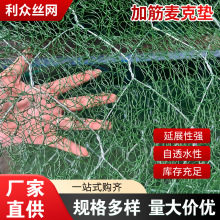 河道护坡加筋麦克垫 镀锌三维植被网 山体边坡绿化固土防护网