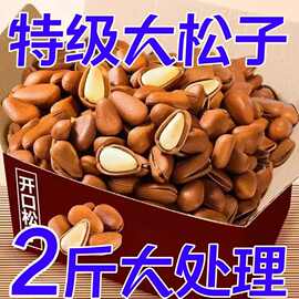 当季新货东北松子开口大红松子仁长白山坚果干果零食新货