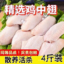 ���ó�ɘ����ø��u���u�����������r�u�������̖����rʳ�u���