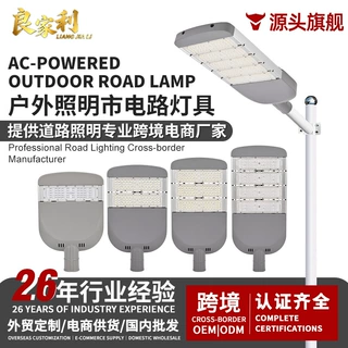 定制批发LED路灯市政工程道路照明广场停车场路灯厂家直销100W超