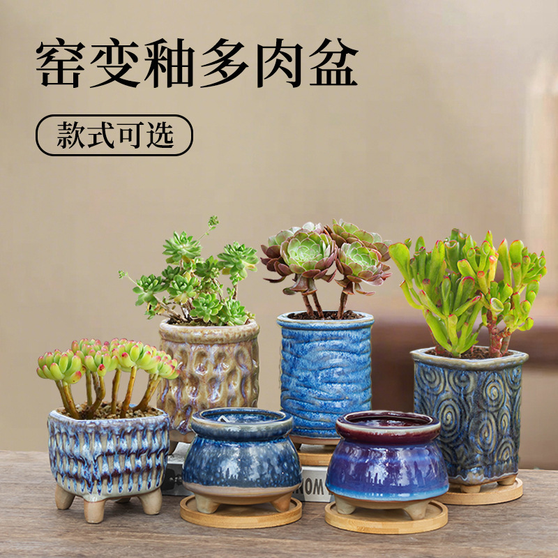 Succulent Flower Pot Made of Coarse Pottery with a Vintage Crackle Glaze, Suitable for Succulent Plants, Home Desktop Decoration, Creative and Breathable