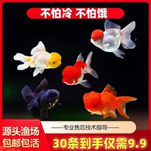 ���~���~���w�̽���~����С�~�^�p�~С���~��ˮ�~��β��ˮС���~