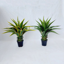 �S��ֱ�N����Gֲ���������m�҃ȾӼҔ[���辰�٘䄦��С�ʹ��m�S