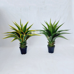 �S��ֱ�N����Gֲ���������m�҃ȾӼҔ[���辰�٘䄦��С�ʹ��m�S